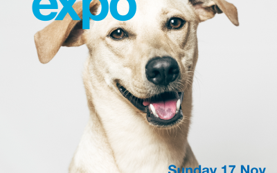 Bayside Pet Expo | Sun 17 Nov 2019 | 10am – 2pm